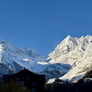 d25a3032-e6e0-4228-8f06-0ee62d400fca